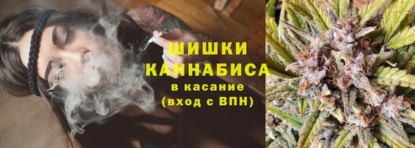 дмт Горняк