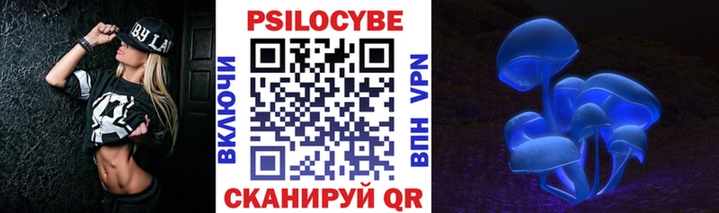 Купить закладки  Киреевск  Псилоцибиновые грибы мухоморы 